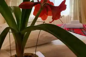 Двухкомнатная квартира, Обнинск