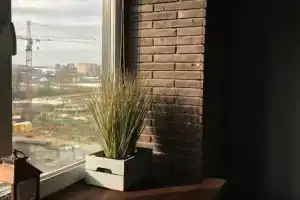 Студия, Москва