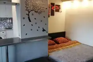 Однокомнатная квартира, Омск