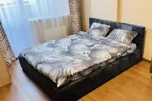Студия, Воронеж