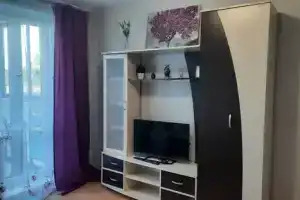 Студия, Петрозаводск