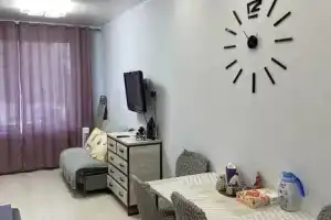 Студия, Петрозаводск