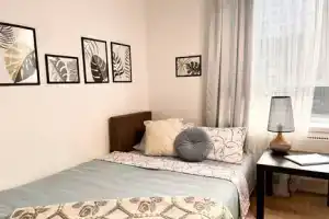Студия, Москва