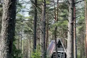 Коттедж, Соловьёво