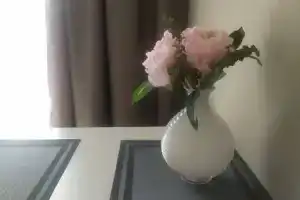 Однокомнатная квартира, Орел