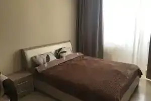 Студия, Вологда