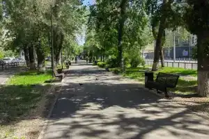 Двухкомнатная студия, Саратов