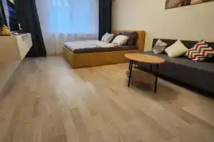Однокомнатная квартира, Орел