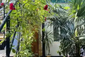 Двухкомнатная квартира, Ялта
