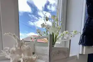 Студия, Рубцовск