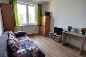 Однокомнатная квартира, Колпино