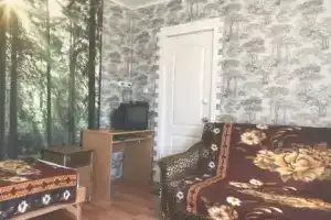 Комната, Должанская