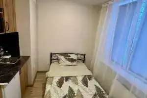 Студия, Зеленоград