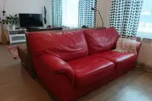 Студия, Петрозаводск