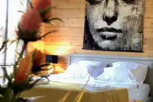 Одноэтажный коттедж, Звенигород
