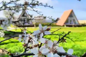 Коттедж, Оленевка