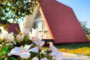 Коттедж, Оленевка