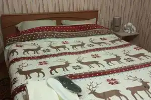 Одноэтажный коттедж, Павловск
