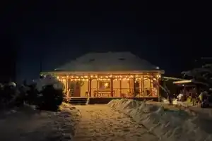 Двухэтажный коттедж, Павловск