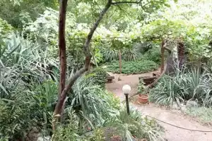 Одноэтажный коттедж, Гаспра