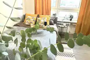 Студия, Москва