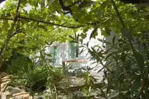 Комната, Мисхор