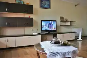 Однокомнатная квартира, Орловка