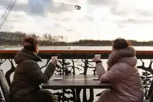 Одноэтажный коттедж, Аистово