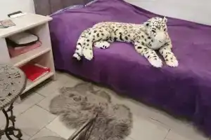 Двухкомнатная студия, Ейск