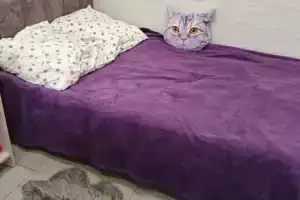 Двухкомнатная студия, Ейск