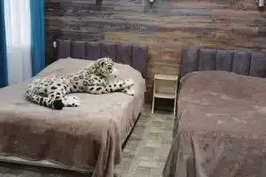 Студия, Ейск