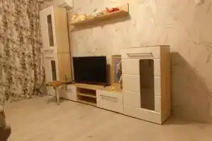 Однокомнатная квартира, Брянск