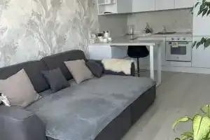 Студия, Краснодар