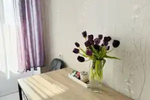 Однокомнатная квартира, Кузнечиха