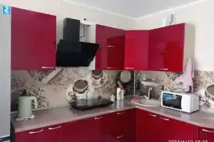 Однокомнатная квартира, Боровский