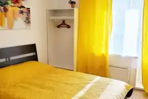 Студия, Владимир