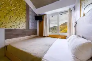 Студия, Красная Поляна