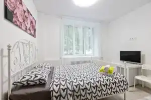 Студия, Химки