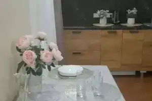 Студия, Партенит