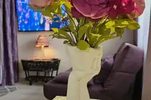 Студия, Петрозаводск