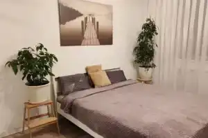 Двухкомнатная квартира, Санкт-Петербург