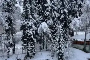 Двухкомнатная квартира, Домбай