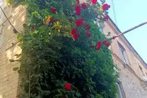 Однокомнатная квартира, Пятигорск