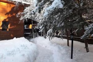 Охотничий домик «Сосен Бор», Домодедово