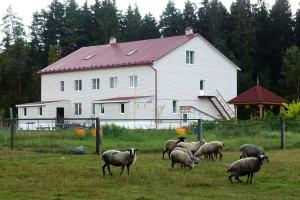 Агроусадьба Мироедово