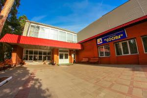 Санаторий Сосны в Мичуринском районе