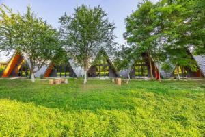 Кемпинг ДиАлекс