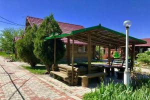 Туристическая деревня «Гусь Лапчатый», Станья