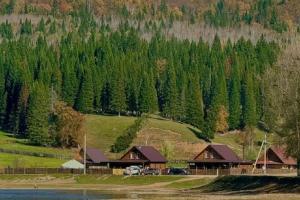 Гостевой дом Зелено