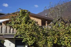 Коттедж Частный Дом Zen Lodge Красная Поляна, Красная Поляна